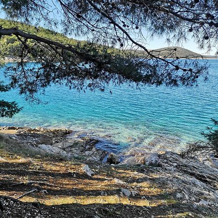 Villa Long Island Luxury Residence, Sali Dugi Otok-Private Parking,Next To Beach 外观 照片